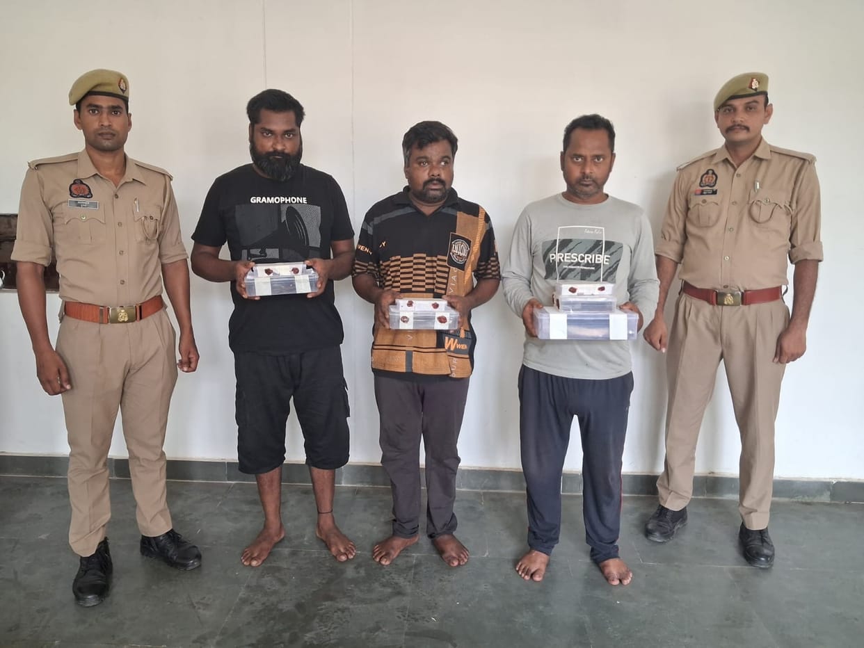 Hawking by day, theft by night: three cunning thieves arrested.