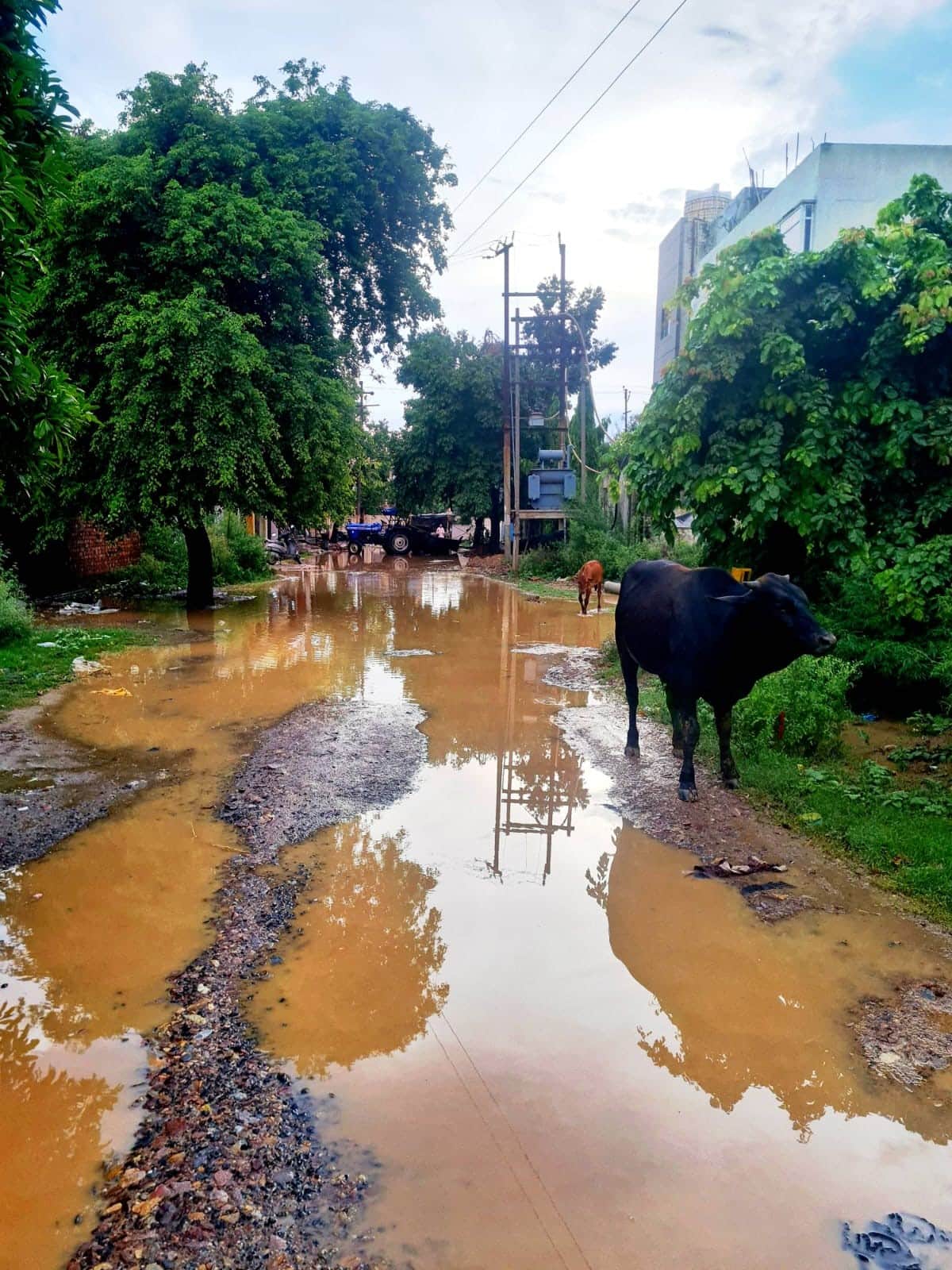 Two days of rain turned the district's roads into a mass of potholes.
