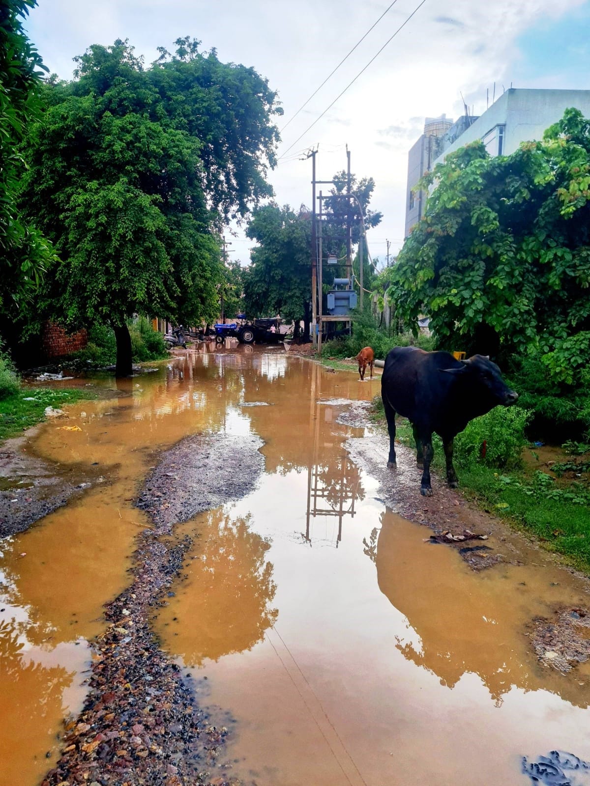 Two days of rain turned the district's roads into a mass of potholes.
