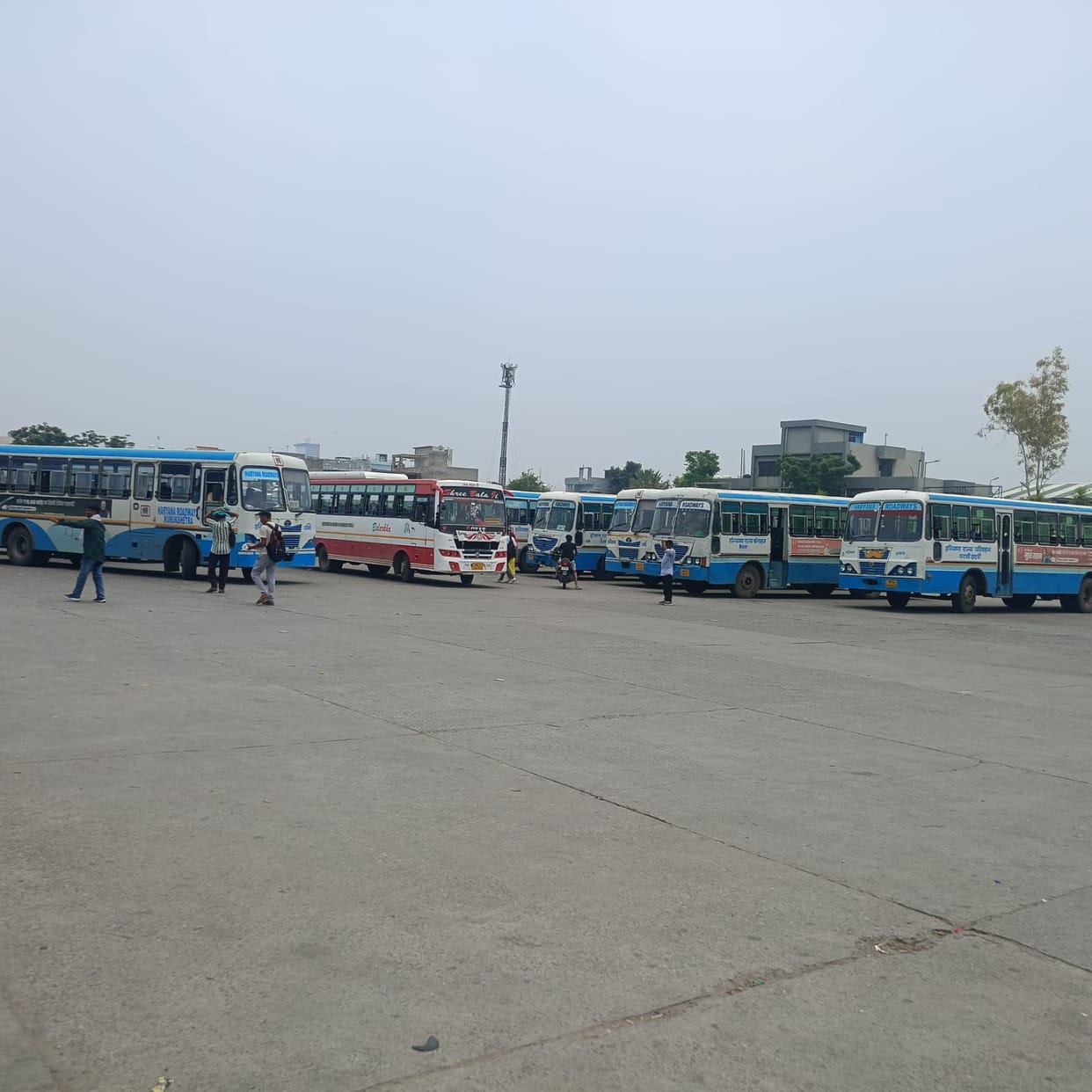 Five more buses will be declared unfit for service on July 14, reducing the Roadways fleet to 175.