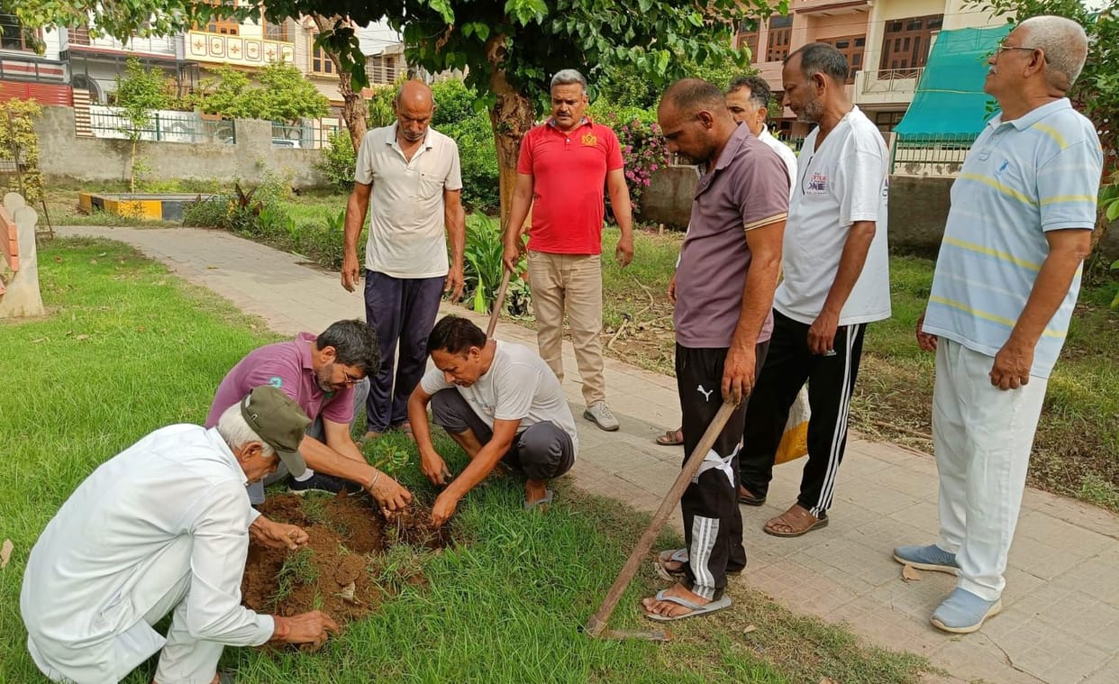 Planted saplings and conveyed the message of saving the environment.