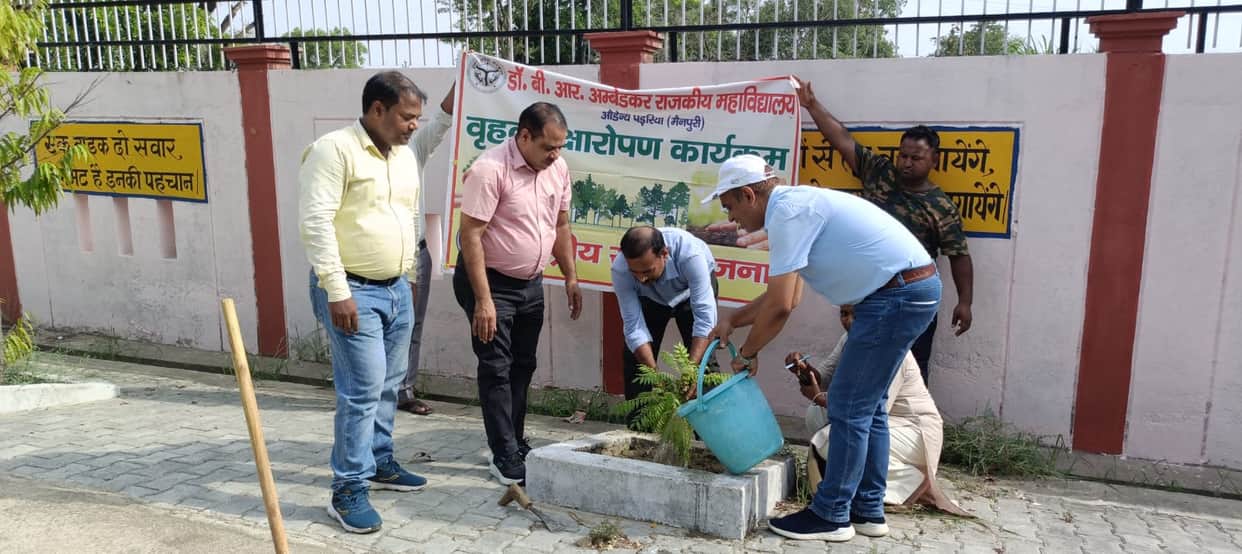 mainpuri news plantation