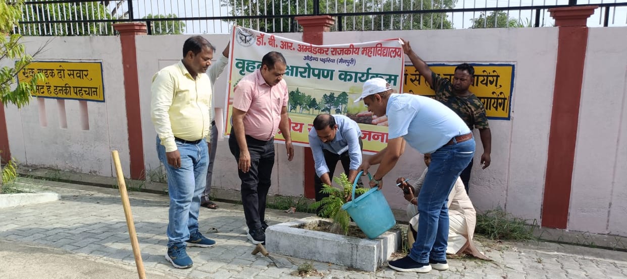 mainpuri news plantation