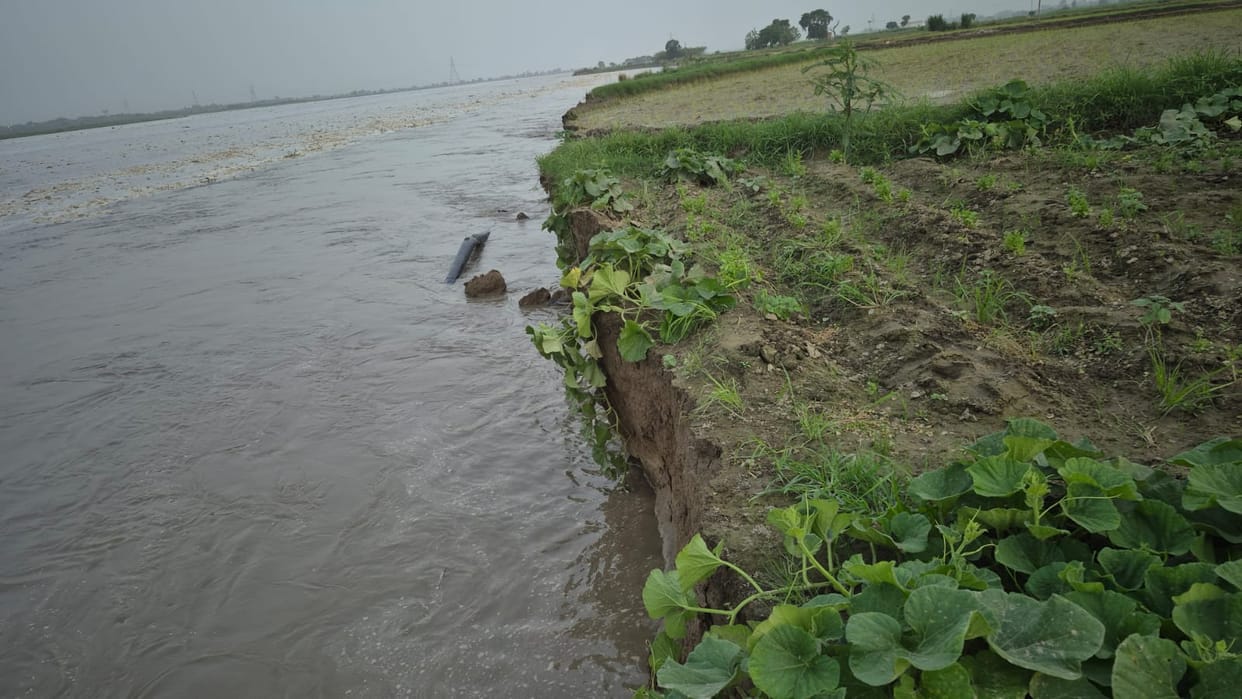 Rising Yamuna water level a cause for concern; soil erosion in fields begins at Pabnera.