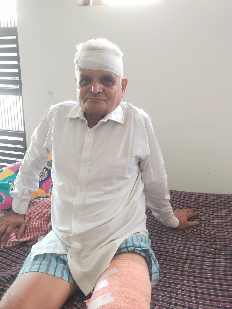 Bull attacks and injures senior advocate with its horns.
