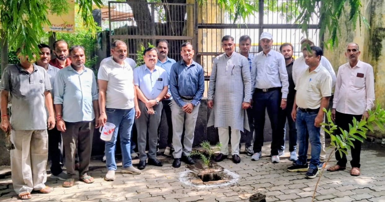 Municipality carries out tree plantation at Amrit Sarovar.