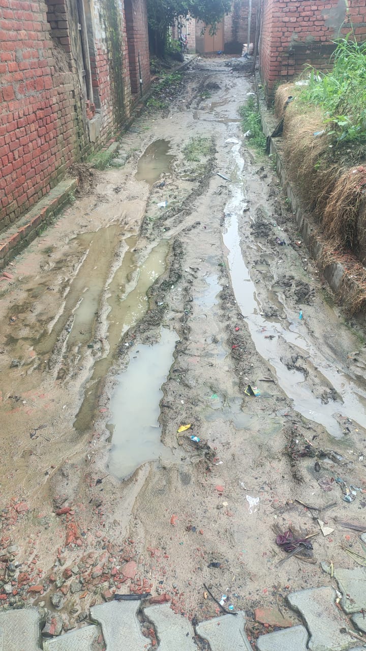 Villagers are facing problems due to waterlogging and mud in Bhogipur Mani village