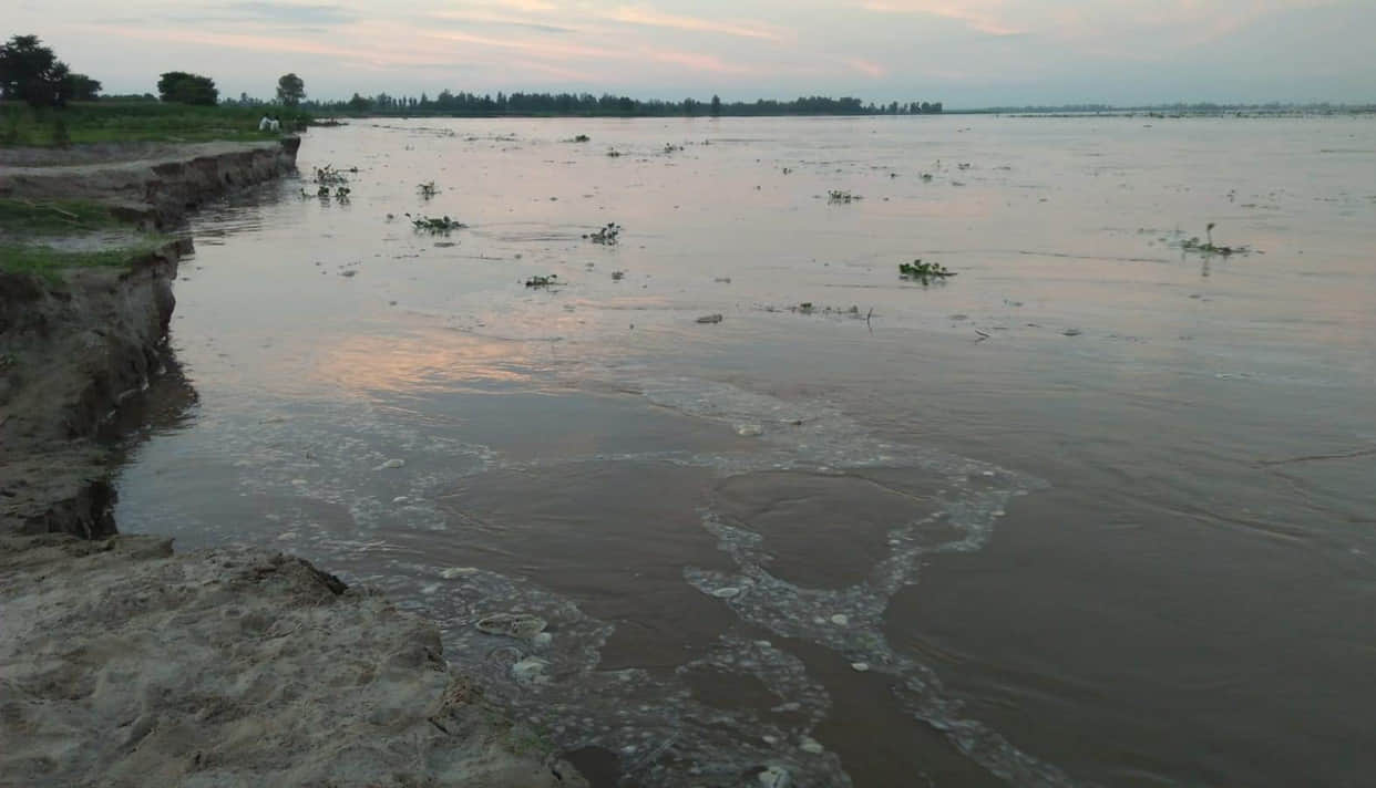 Ganga nears warning level; flowing 23 cm below the mark.