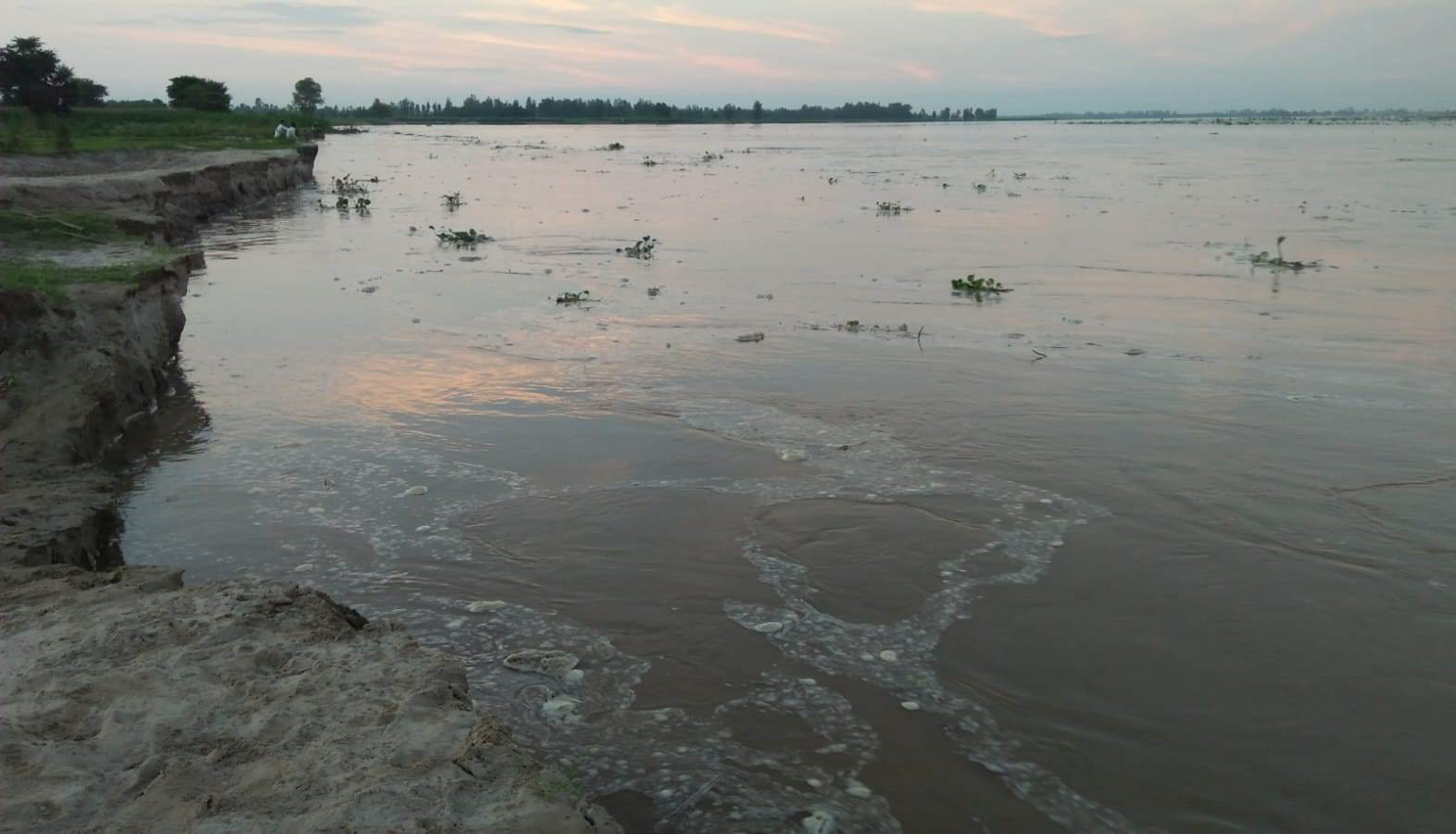 जलस्तर बढऩे से खादर क्षेत्र में गंगा का बहाव हुआ तेज। संवाद