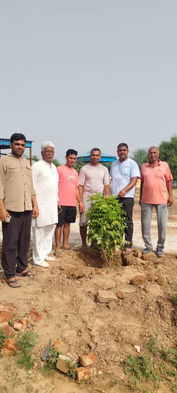 151 saplings planted at the cremation ground.