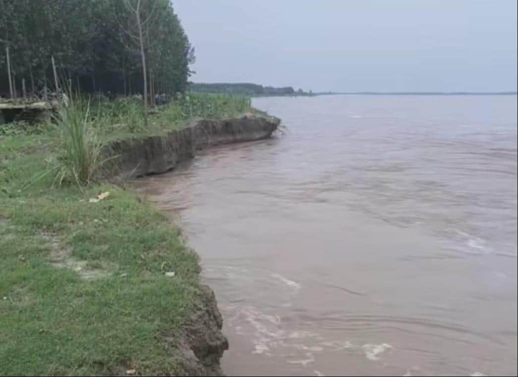 Crops submerged due to rising Yamuna water levels; two animals critically injured after roof collapse.