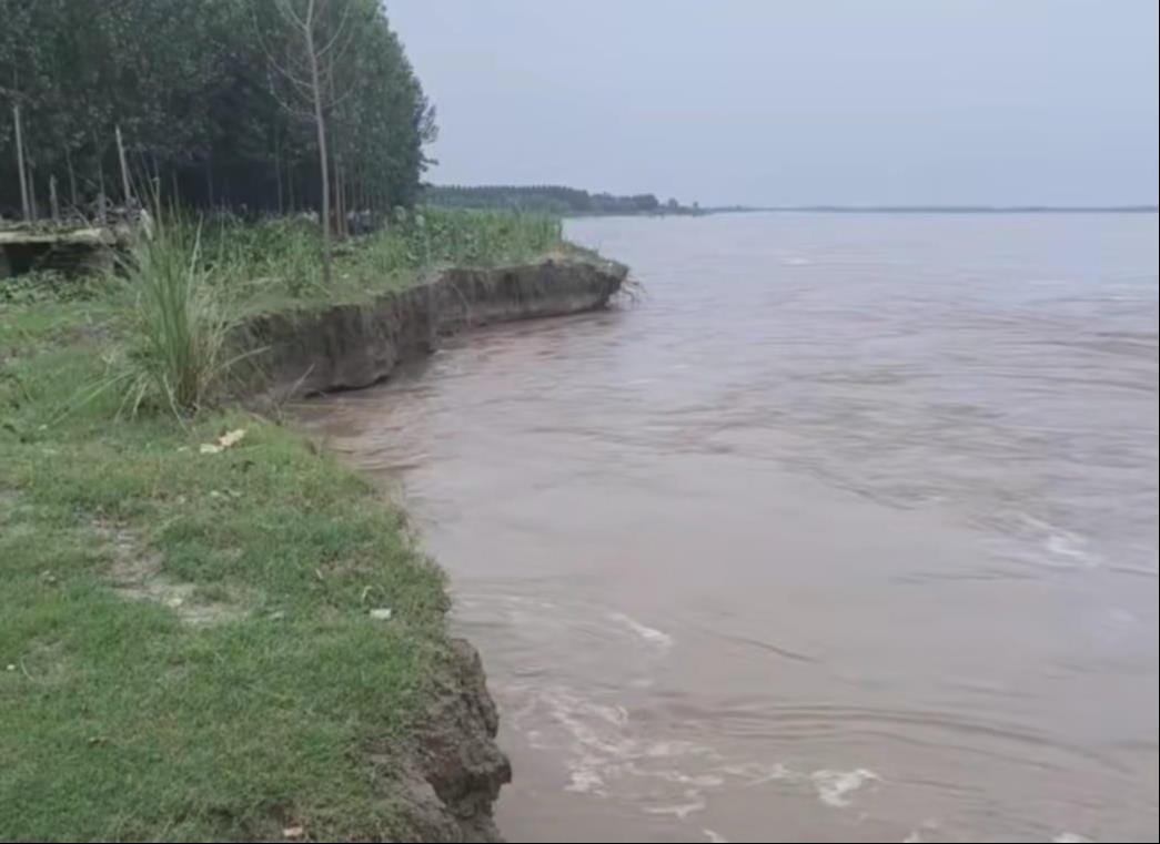 Crops submerged due to rising Yamuna water levels; two animals critically injured after roof collapse.