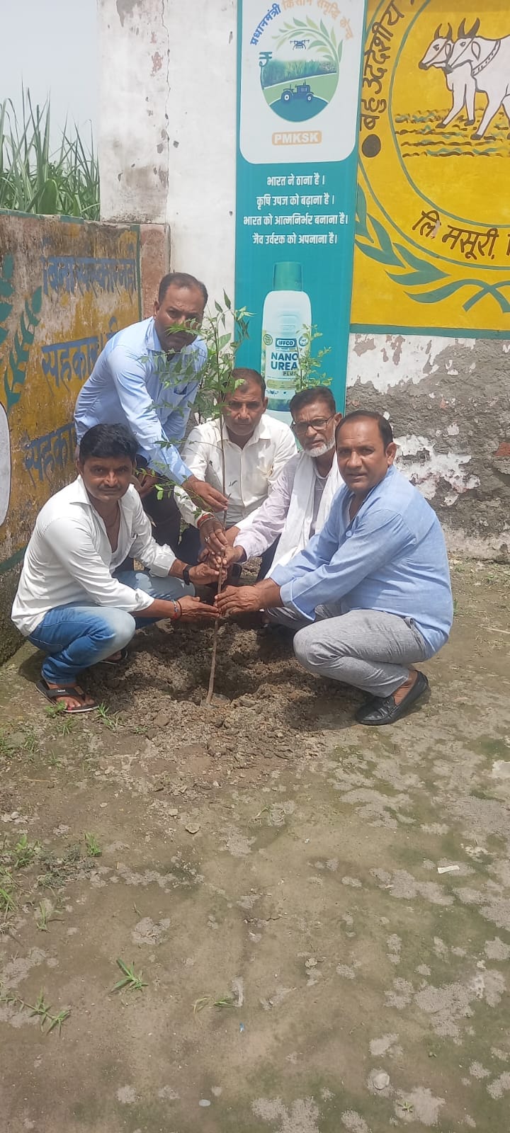 Tree plantation carried out under the 'A Tree in Mother's Name' campaign.