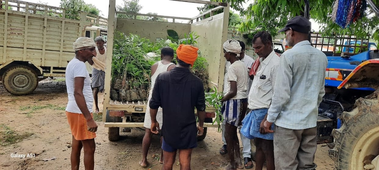 1.45 lakh saplings will be planted in 83 Gram Panchayats today.