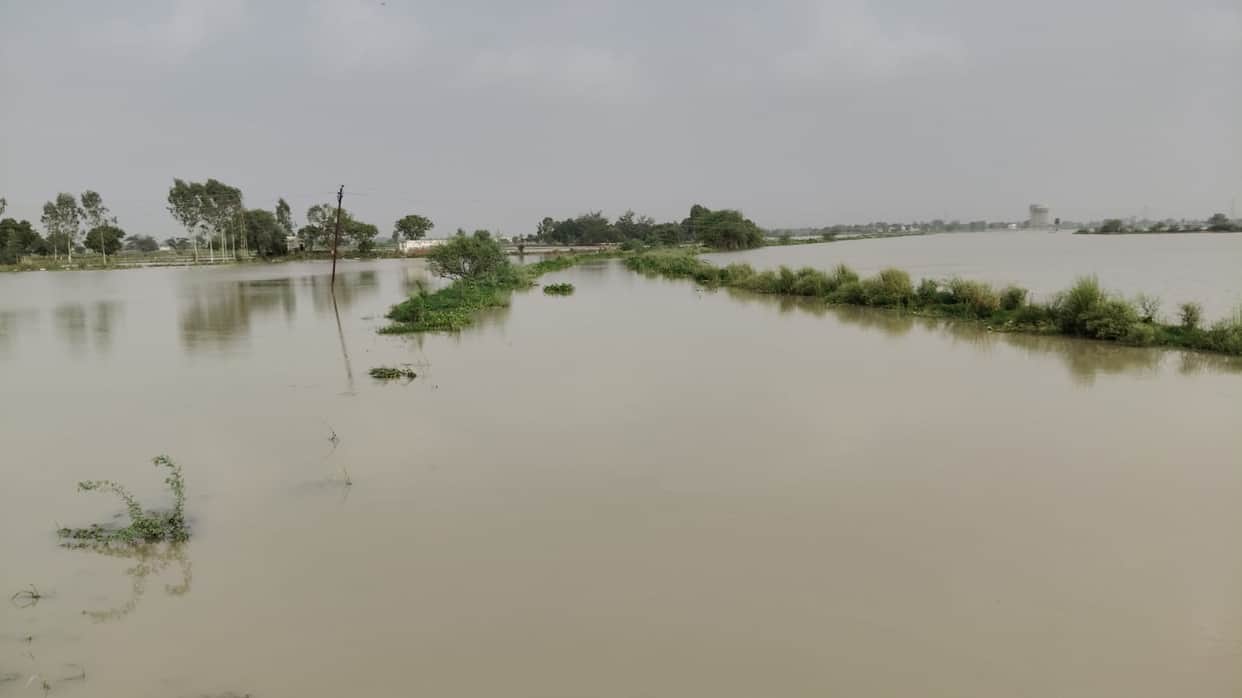 Water levels in the Ishan River began to recede, farmers' concerns eas