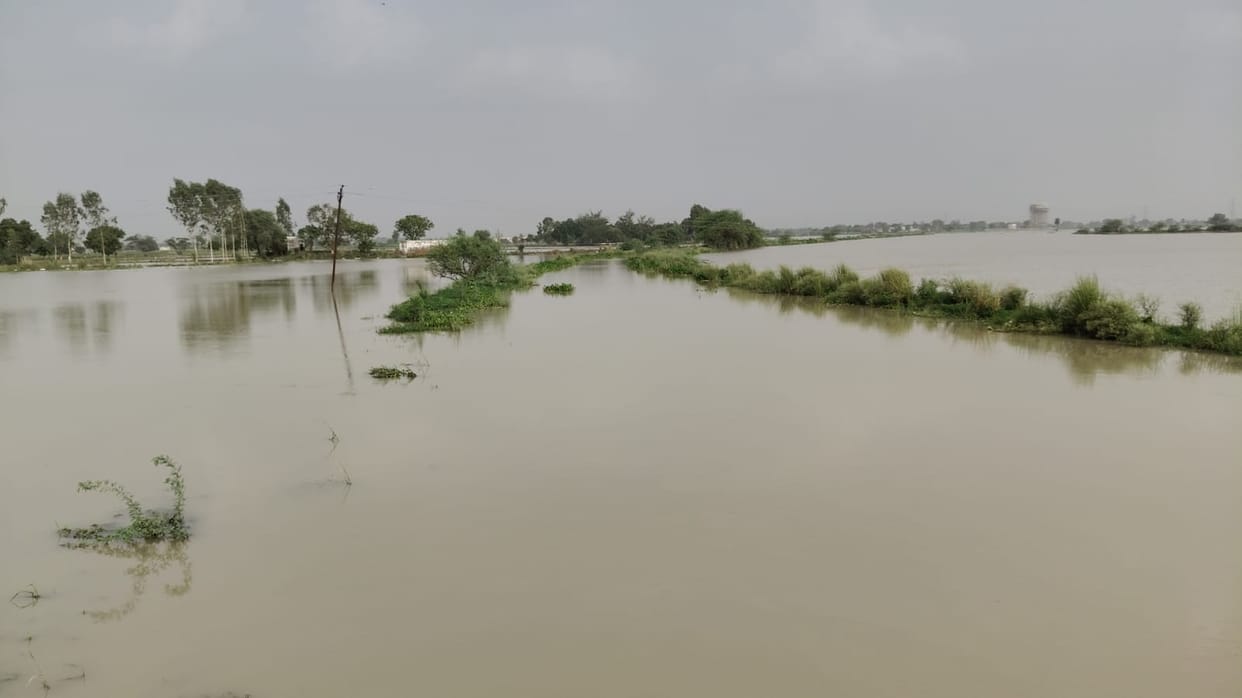Water levels in the Ishan River began to recede, farmers' concerns eas