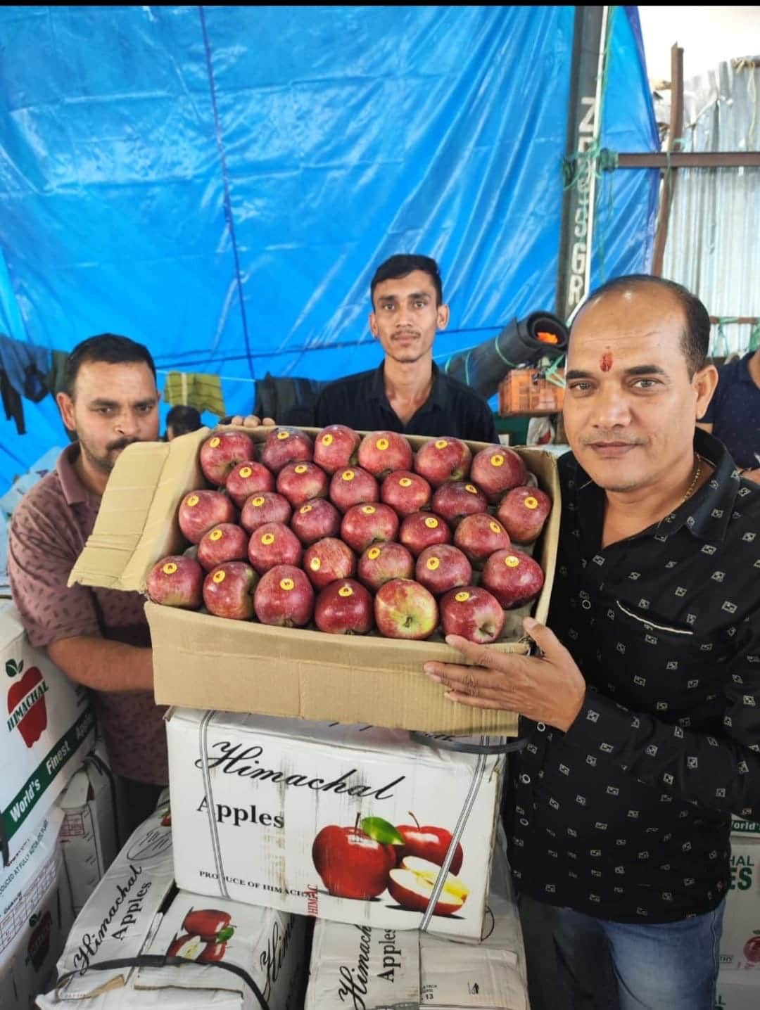 Royal Spur apples make a strong entry, a 20 kg box sells for Rs 3700