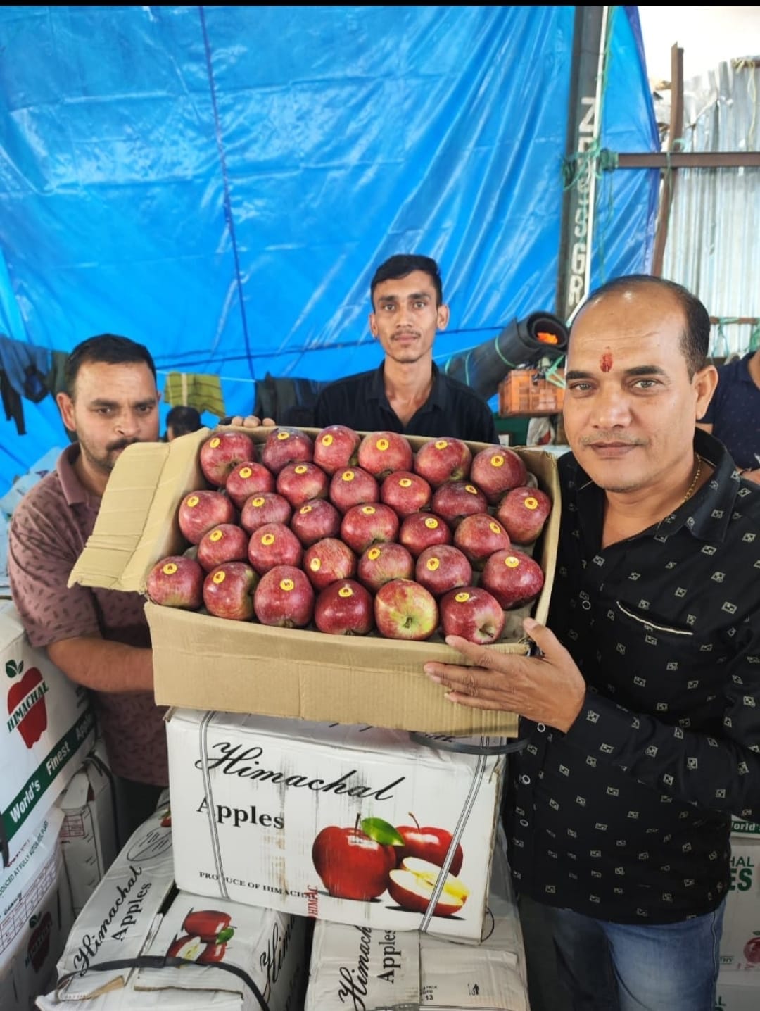 Royal Spur apples make a strong entry, a 20 kg box sells for Rs 3700