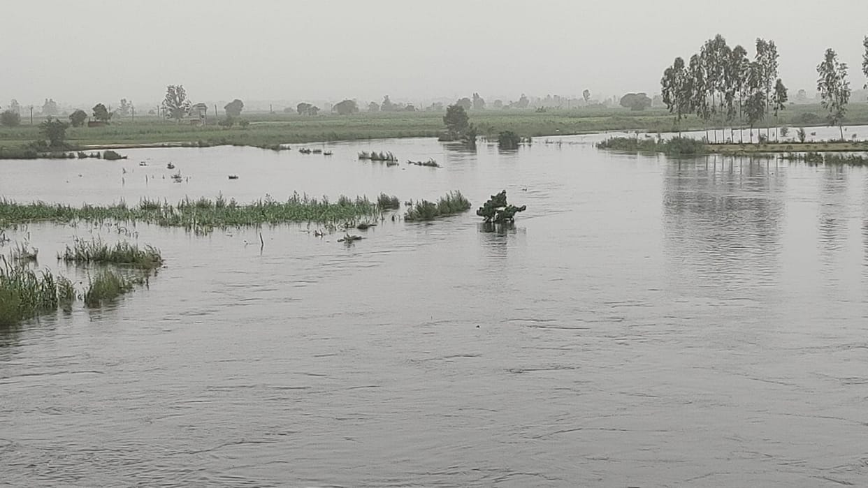 Hundreds of acres of crops submerged due to rising water level of Hindon river