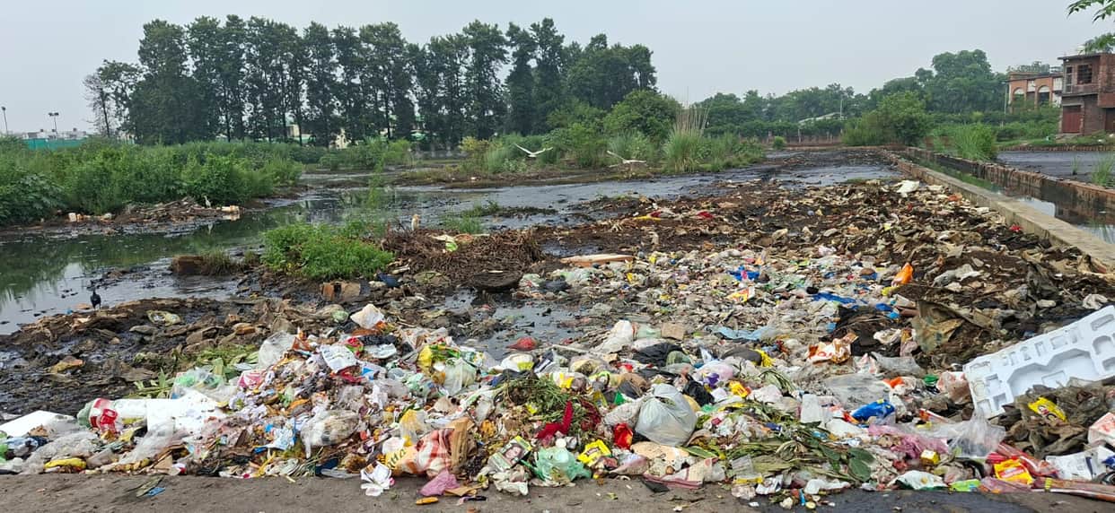 Filth spread across the city as soon as the rain stopped