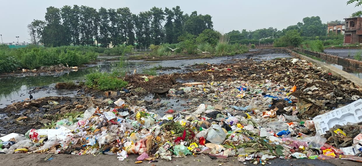 Filth spread across the city as soon as the rain stopped