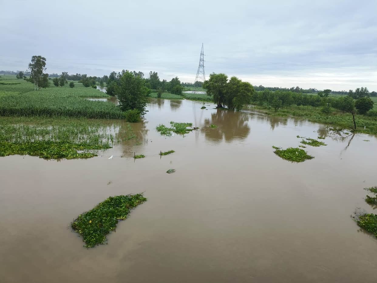 The rain has stopped... now, clouds of crisis loom over the farmers.