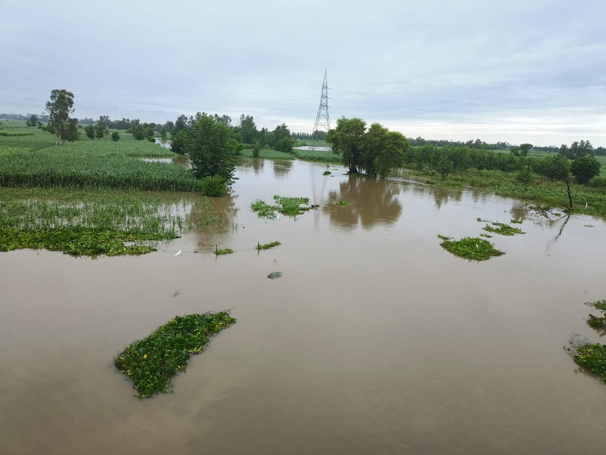 The rain has stopped... now, clouds of crisis loom over the farmers.
