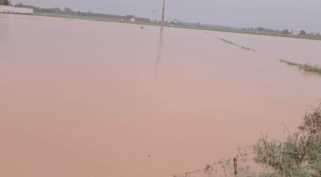 Crops submerged in several villages including Tandwal and Gheldri