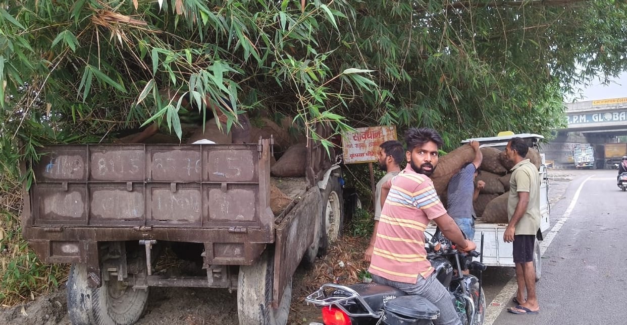 Truck rams into tractor-trolley loaded with pointed gourds; driver killed, three injured.