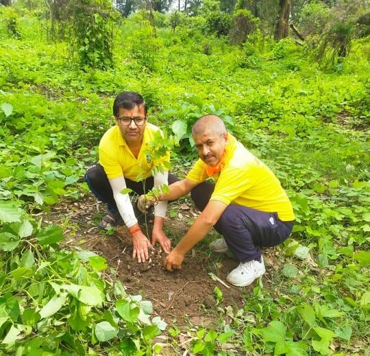 plantation of dhun pahadi sangathan