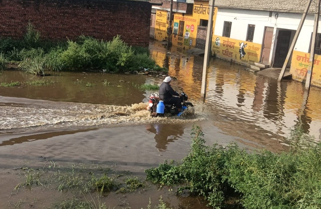 Business affected by waterlogging at dairy complex