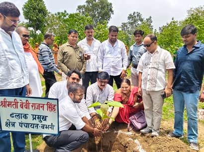 बभनी विकास खंड  के बचरा गांव में पौध रोपण करते जनप्रतिनिधि और अधिकारी गण। संवाद