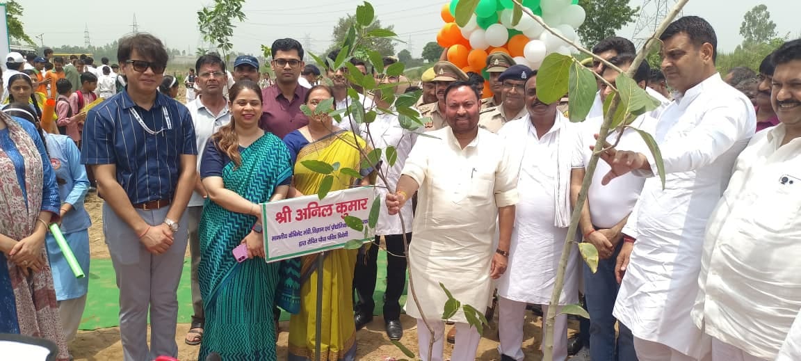 More than 66 lakh saplings planted during the day
