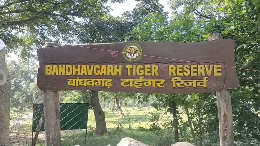 बांधवगढ़ टाइगर रिजर्व