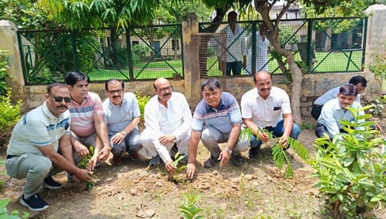 Mega plantation drive launched on the Ganga Expressway.