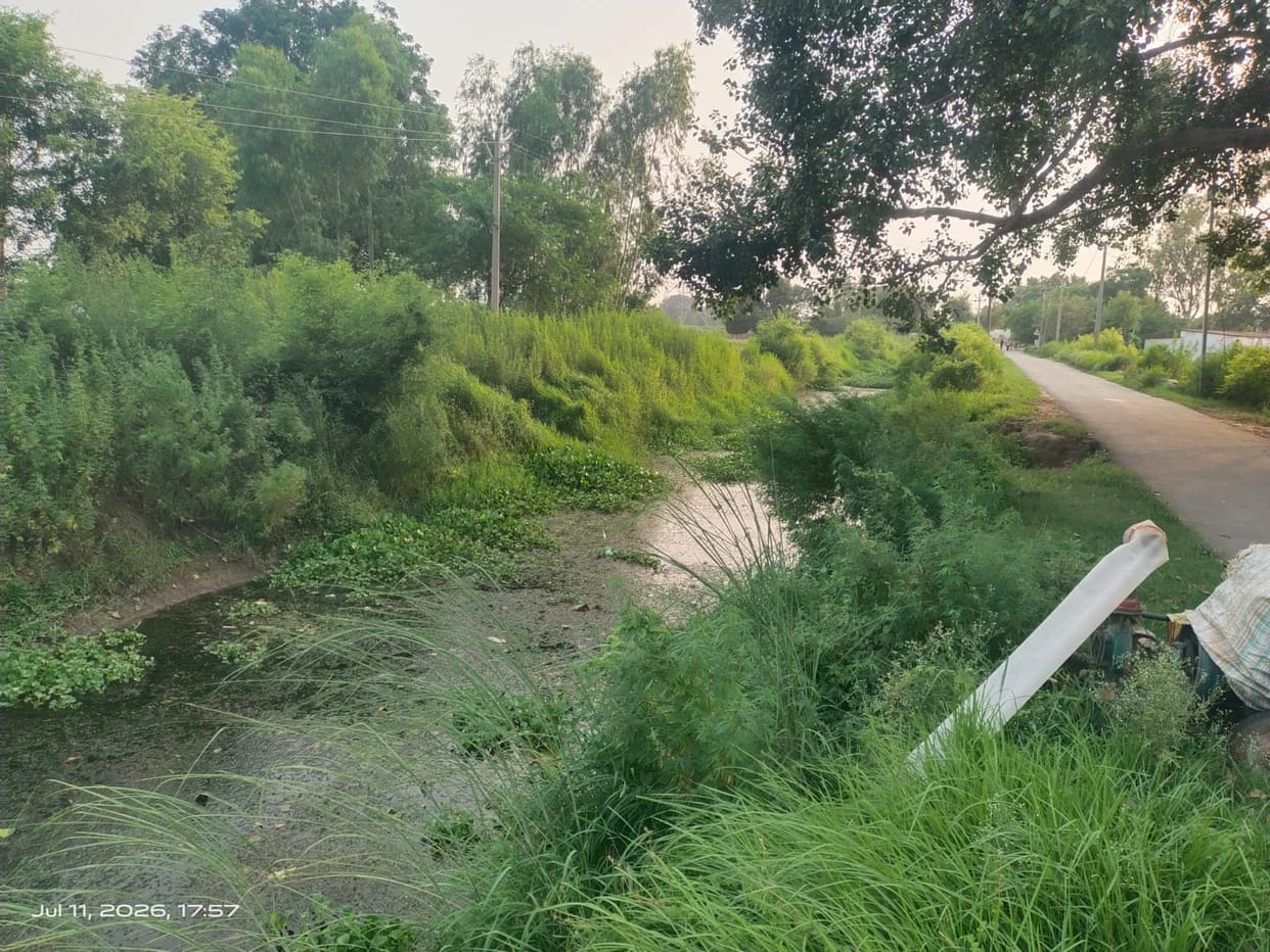 Gangsi Distributary Filthy for Two Years; Silt and Water Hyacinth Accumulated