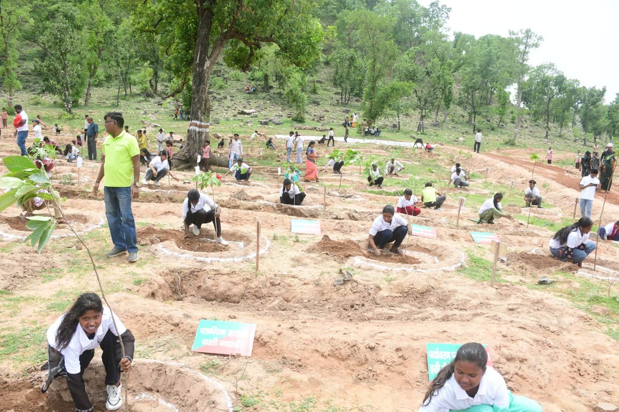 More than 75 lakh saplings planted in a day