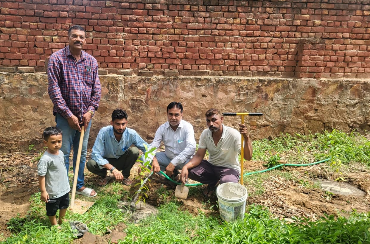 A message of environmental conservation through tree planting
