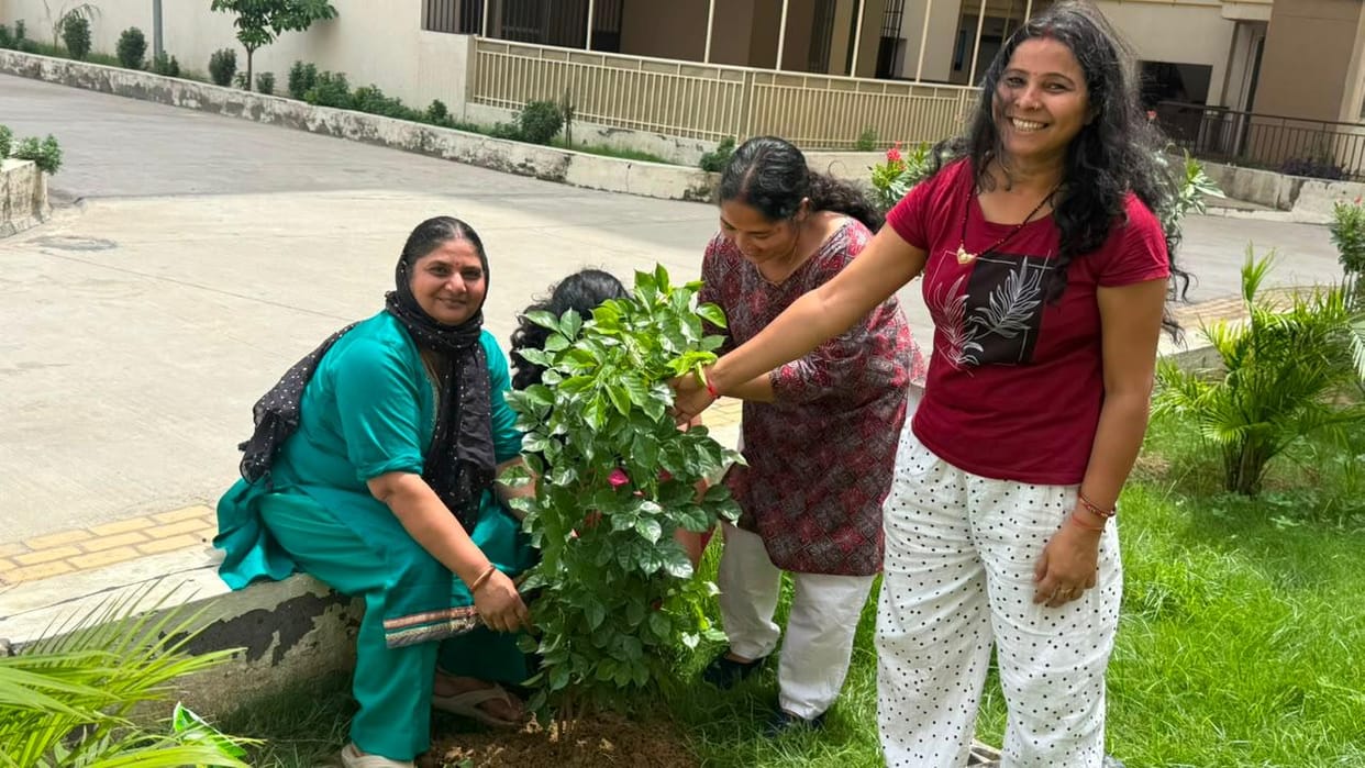 Tree Plantation Drive at Amrapali Golf Homes