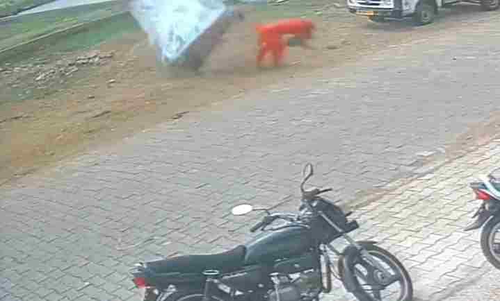Hoarding falls on Panchayat member's mother during strong storm in Bahbalpur; she is injured.