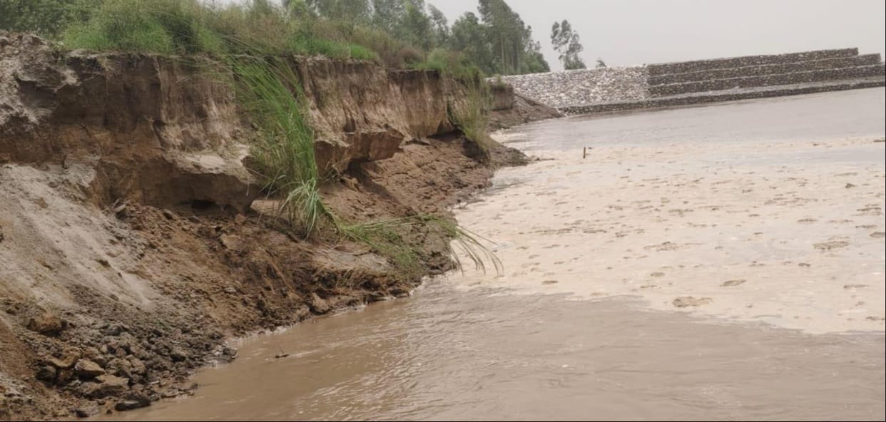 Water level in Yamuna rises; bank erosion begins.