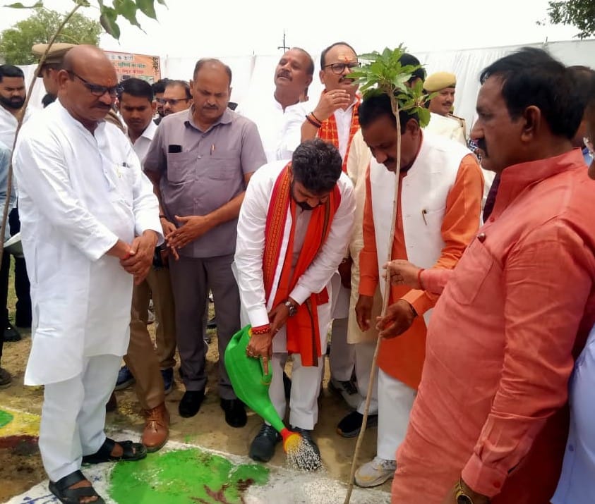 Tree plantation will lead to a prosperous life: Dayalu