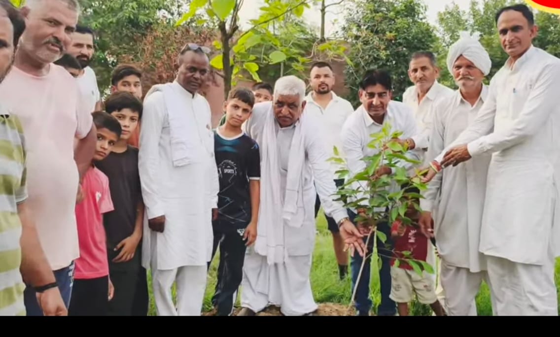 A message of greenery was conveyed by planting saplings in open spaces in Kichhana.