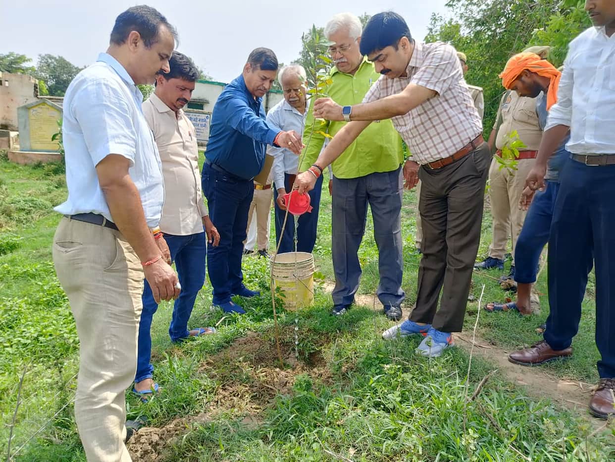 Trees are vital for human life; let us conserve them.