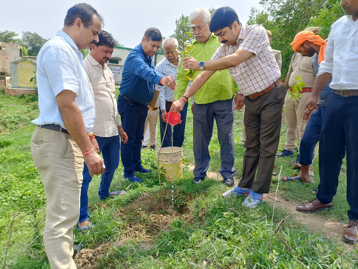 Trees are vital for human life; let us conserve them.