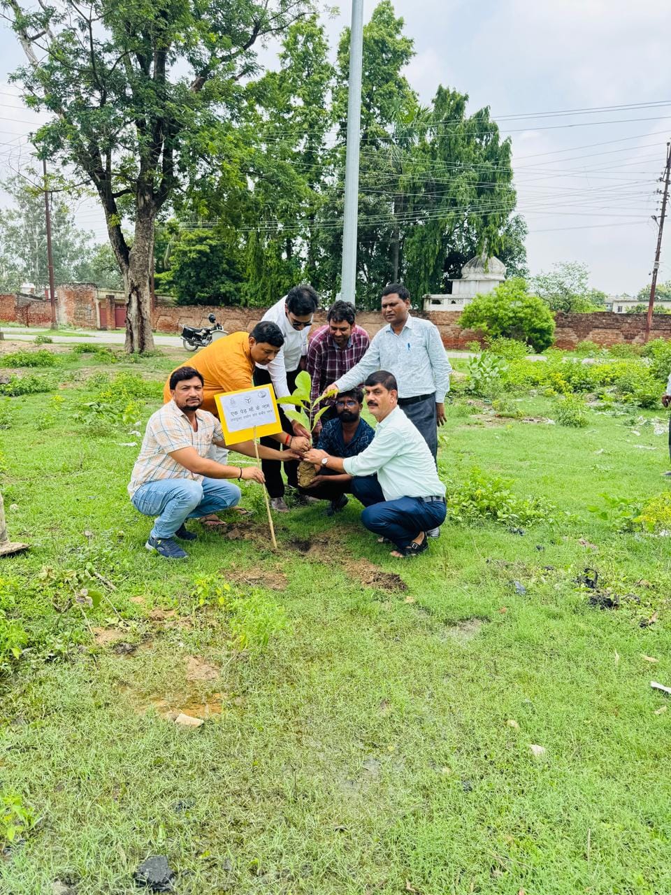 Pledged to conserve the environment by planting trees in rural areas.