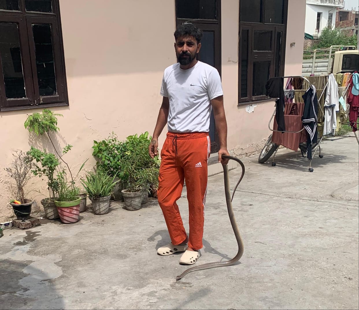 Daughter sleeping next to mother dies of snakebite