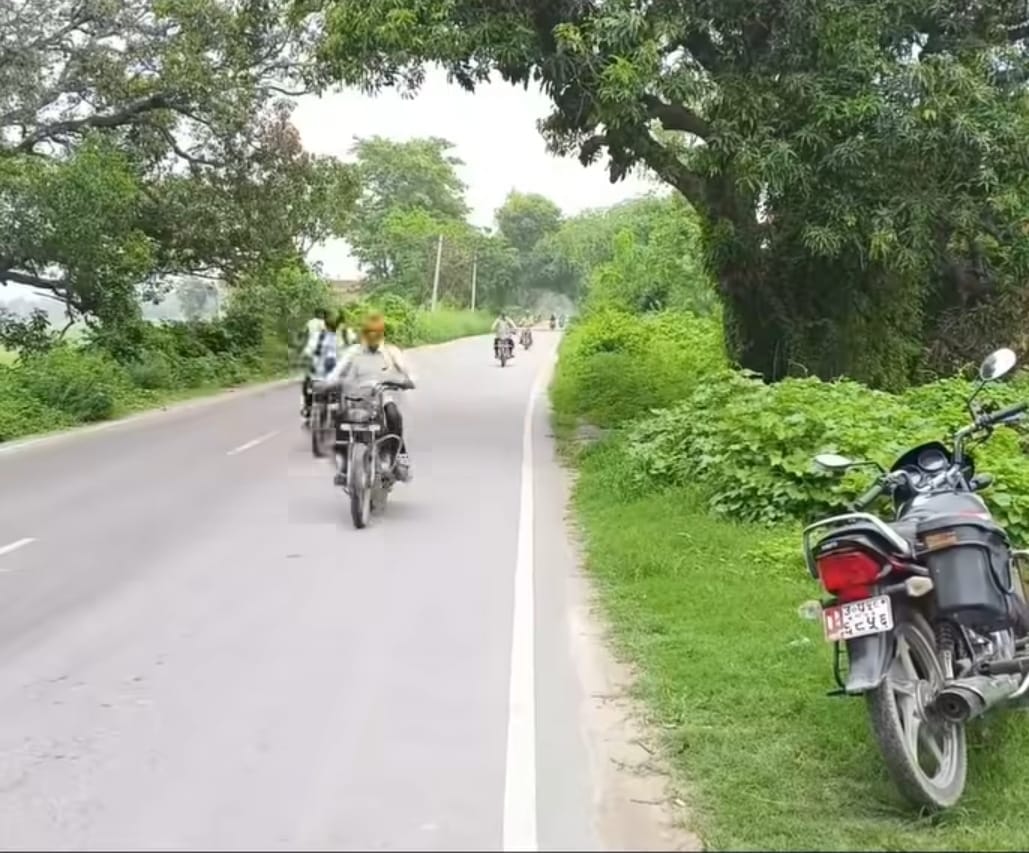 Risk of accidents due to bushes on the tracks