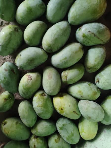 It is only after all the other mango