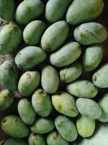 It is only after all the other mango